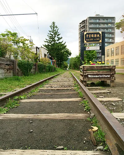 廃線になった列車の線路。ずーっと続いています。