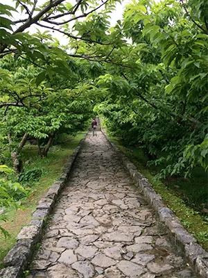 石畳の道が続きます