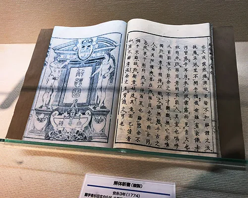 「解体新書」のレプリカ