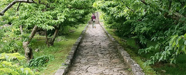 基本的なことだけど継続は大切