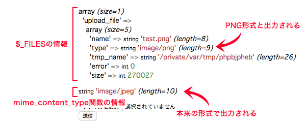 mime_content_type関数の実行結果