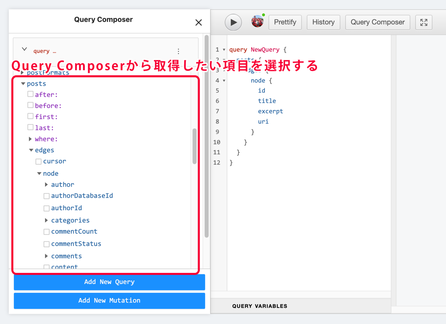 QueryComposerから取得したい項目を選択する