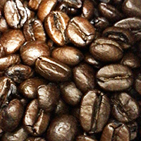 コーヒープレスによるコーヒーの淹れ方